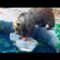 Bear Saves Bird From Drowning