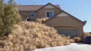 [ID: du2glBYfpNA] Youtube Automatic