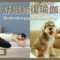 舒眠修復瑜伽 Restorative yoga for deep sleep { Flow with Katie }