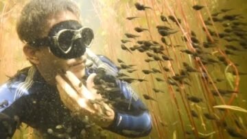 [ID: sHuLTN49rJw] Youtube Automatic