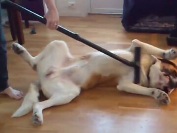 Private: [ID: Eg86emJjbwk] Youtube Automatic