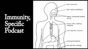 Private: [ID: _HWo8d7x8Nw] Youtube Automatic