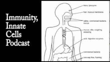 Private: [ID: l0XwvzGgV4w] Youtube Automatic