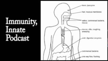 Private: [ID: lPKMov4BHwI] Youtube Automatic