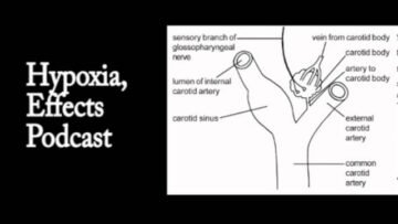 Private: [ID: N5GXkmg1bh8] Youtube Automatic