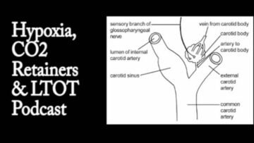 Private: [ID: nBrqQfRZTYo] Youtube Automatic