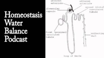 Private: [ID: QDkLc1GV7Cg] Youtube Automatic