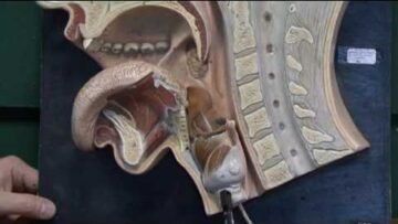 Private: [ID: Ss40DgCPamw] Youtube Automatic