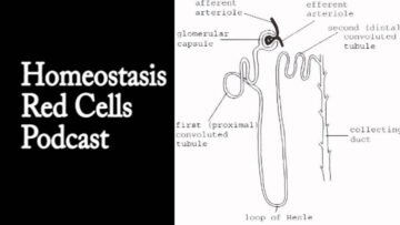 Private: [ID: Uj7US58kWHM] Youtube Automatic