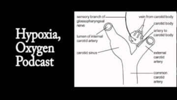 Private: [ID: v4UxjsPCtX0] Youtube Automatic