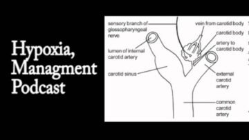 Private: [ID: ypmza74qDEY] Youtube Automatic